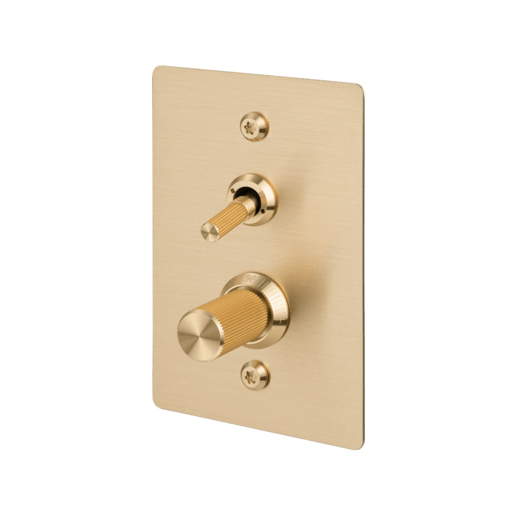 2G / Toggle + Dimmer / No Logo / Vertical / Linear – Spiggy